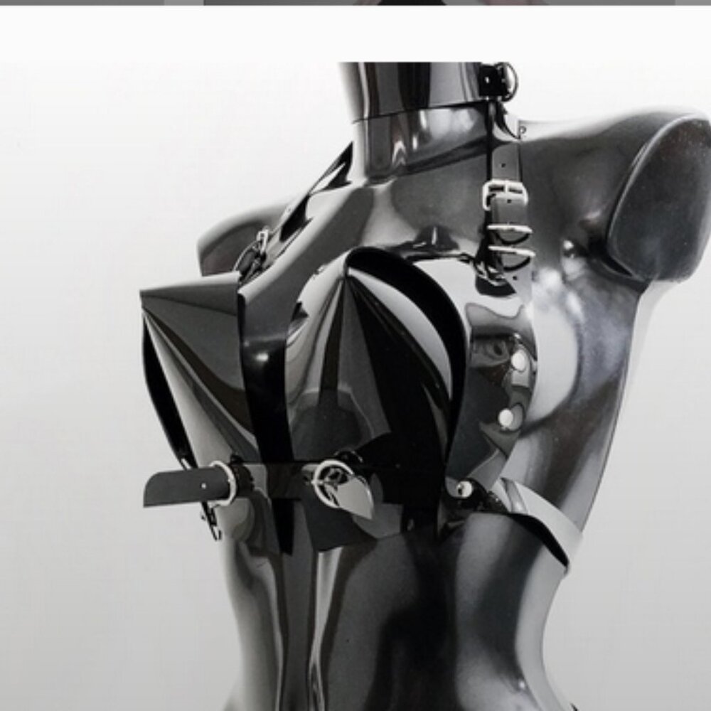 NWOT! Jivomir Domoustchiev 2 Piece  (Bra + Choker) Set Size S